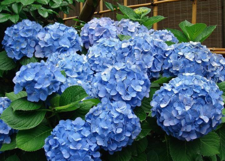 Hotel El Santuario ミンカ エクステリア 写真